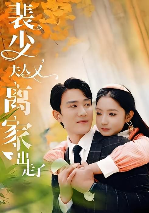 裴少，夫人又离家出走了