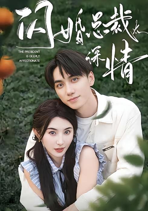 闪婚总裁太深情