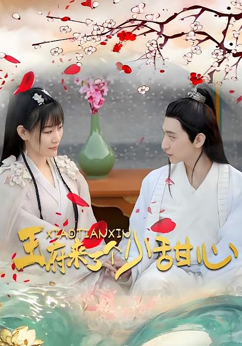 王府来了个小甜心