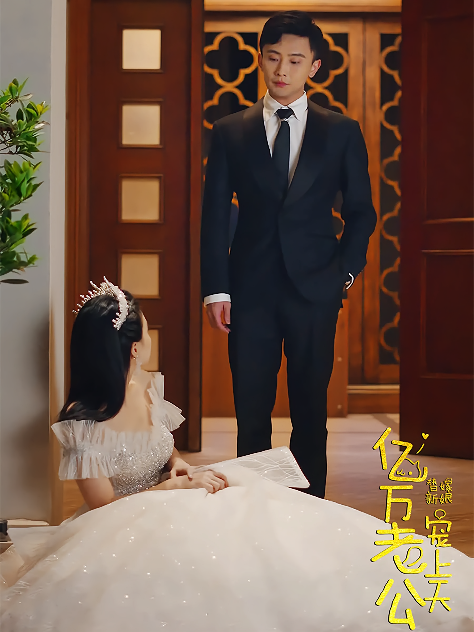 替嫁新娘亿万老公宠上天