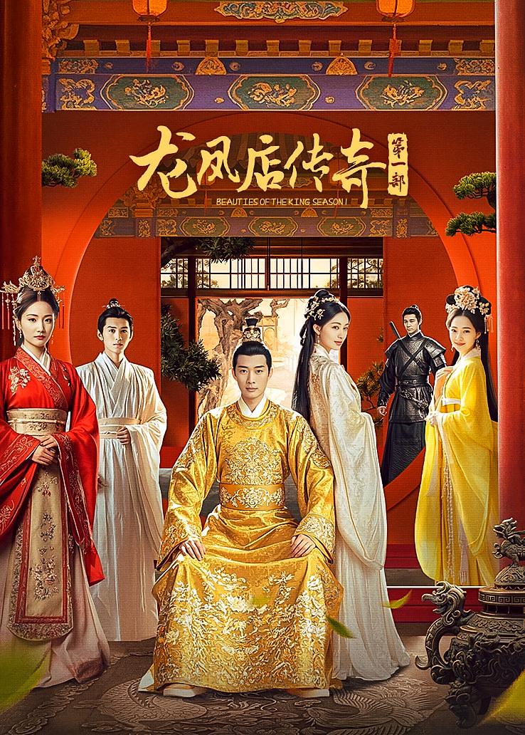 龙凤店传奇第一部