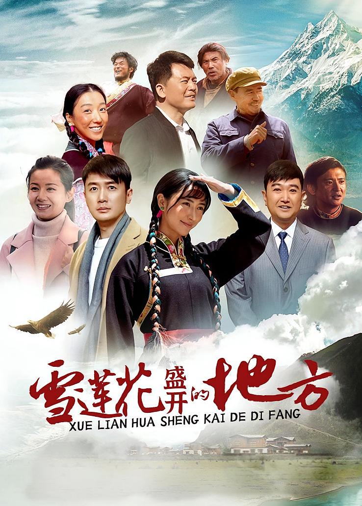 雪莲花盛开的地方