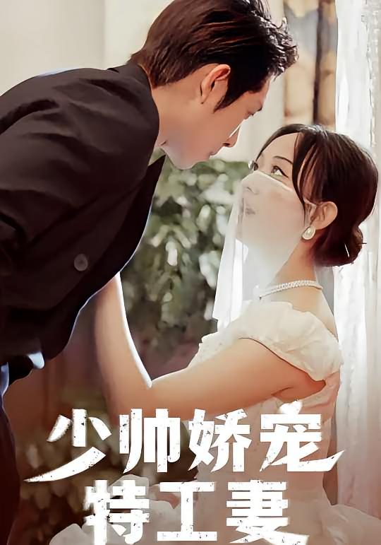 少帅娇宠特工妻