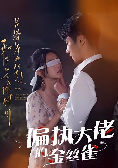 偏执大佬的金丝雀