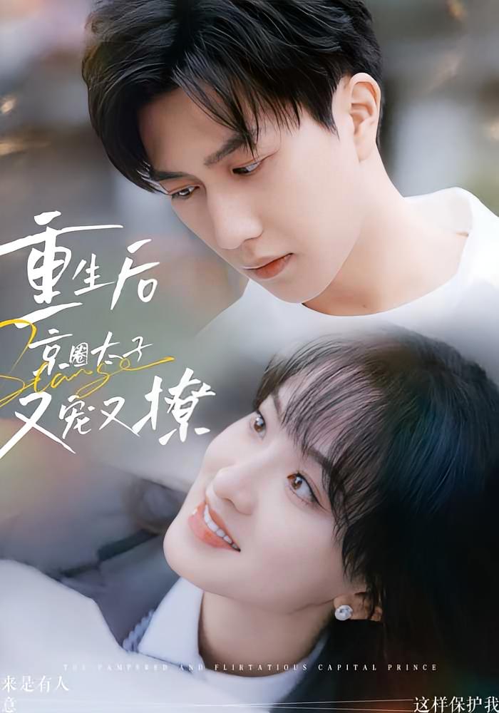 重生后京圈太子又宠又撩
