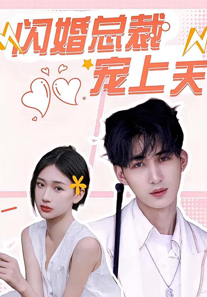 闪婚总裁宠上天