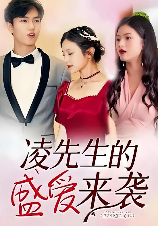 凌先生的盛爱来袭