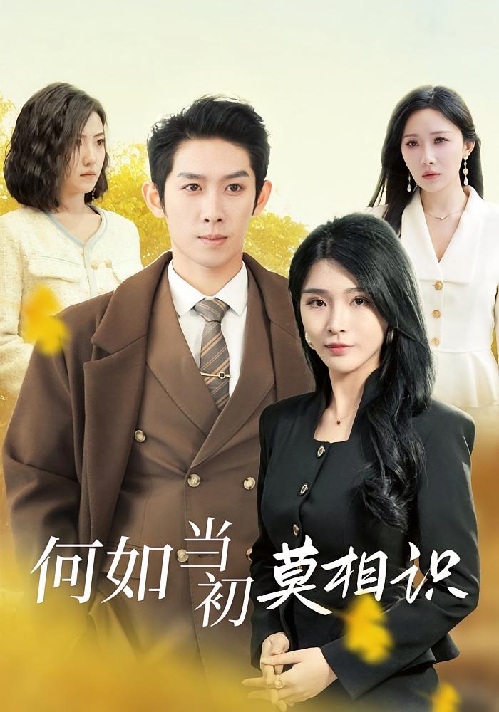 何如当初莫相识