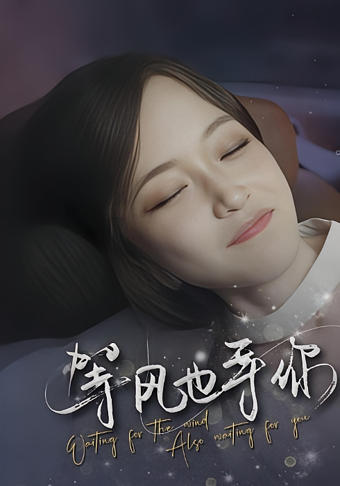 等风也等你