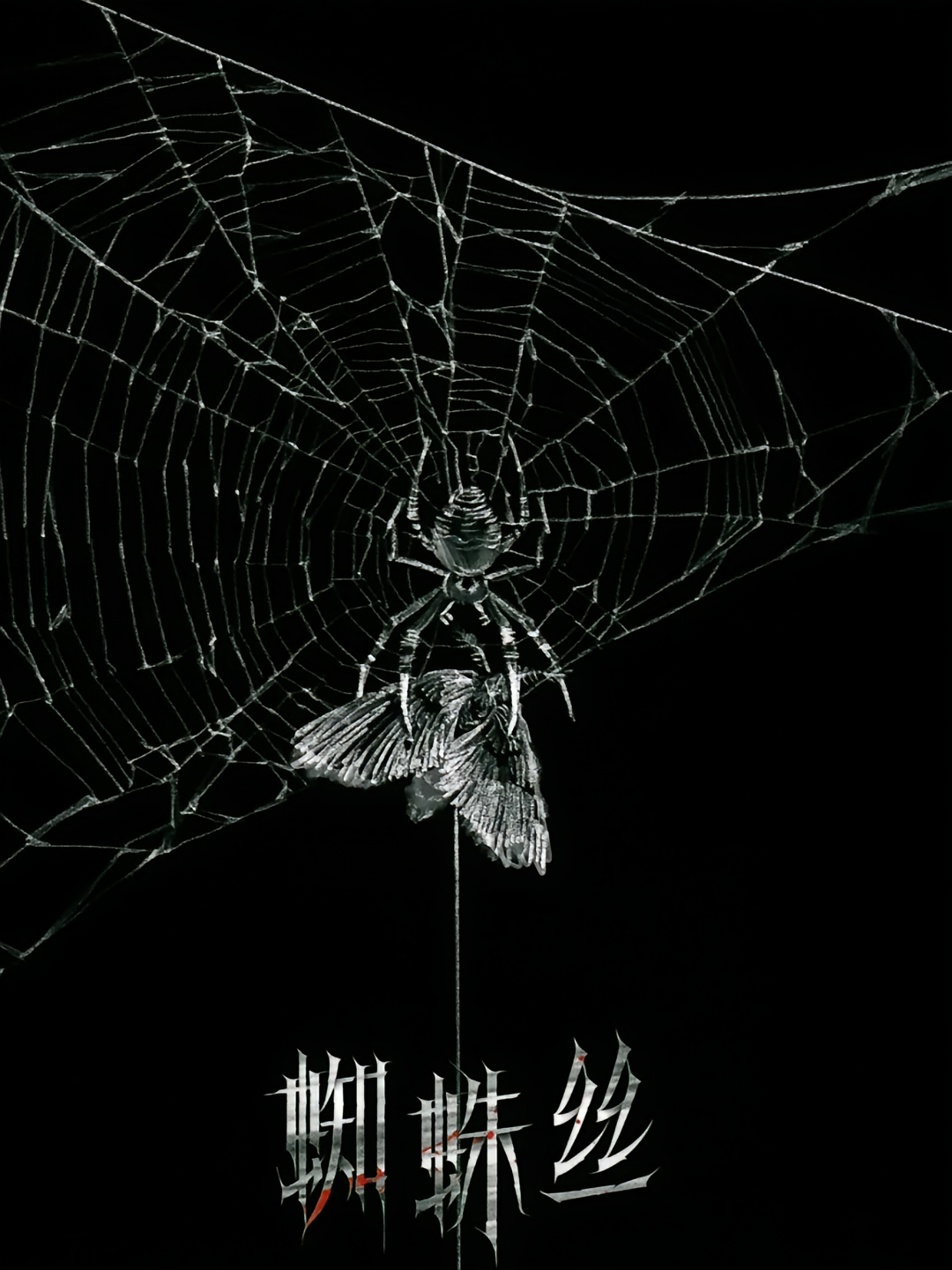 蜘蛛丝