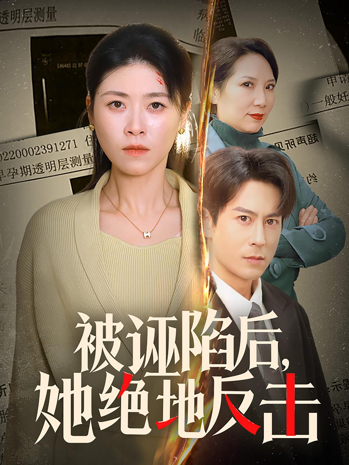 被诬陷后，她绝地反击