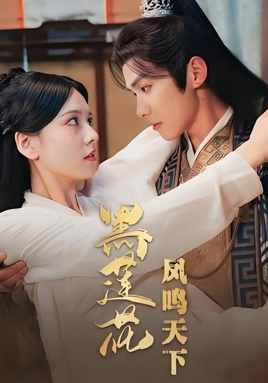 黑莲花凤鸣天下