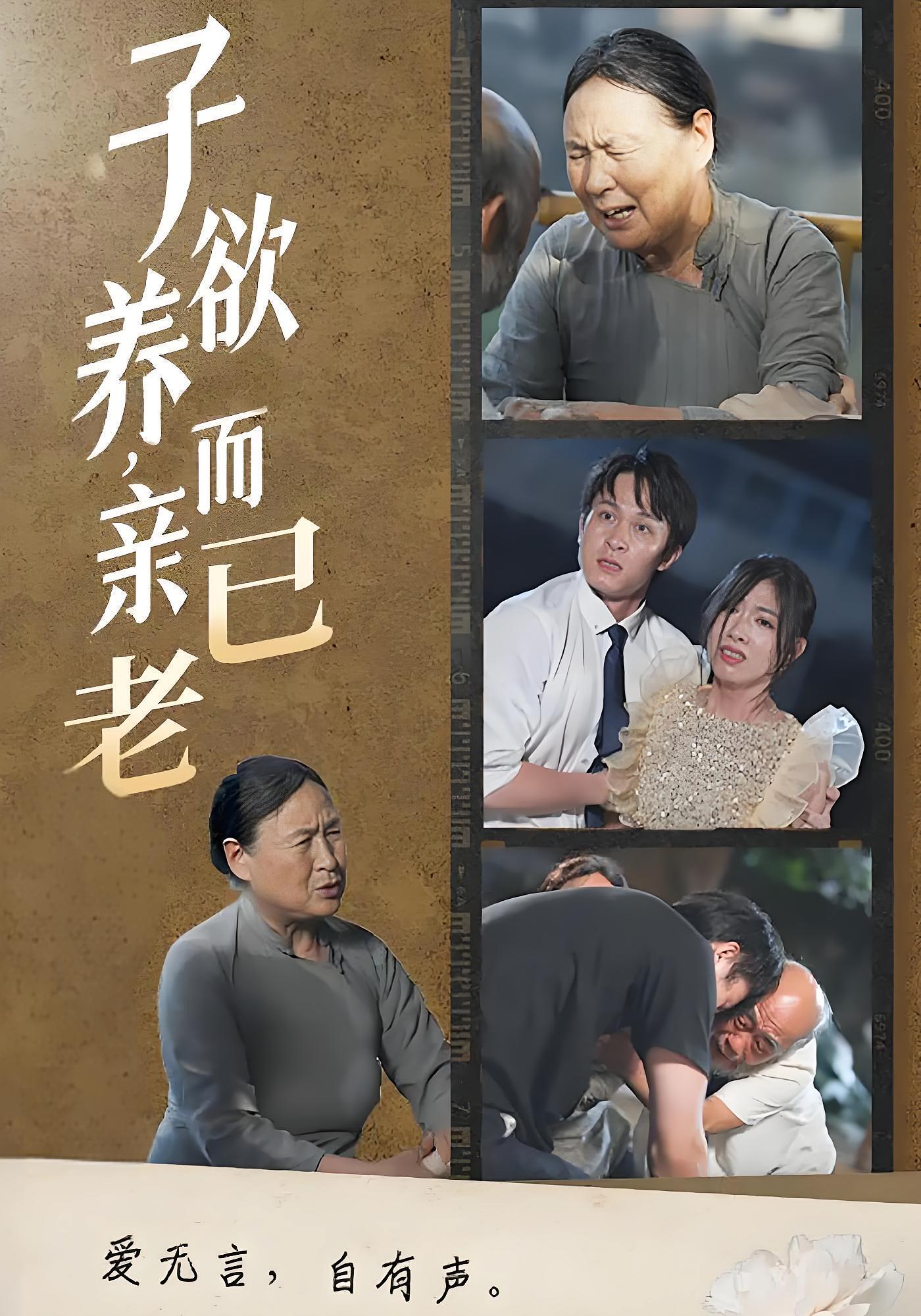 子欲养，而亲已老