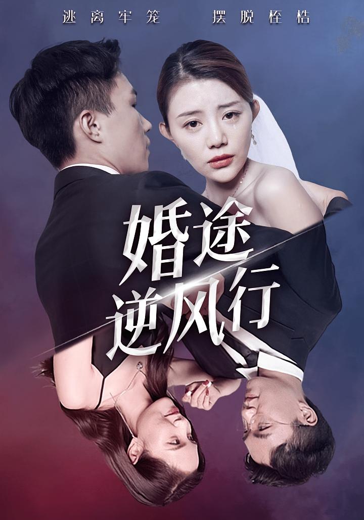 婚途逆风行
