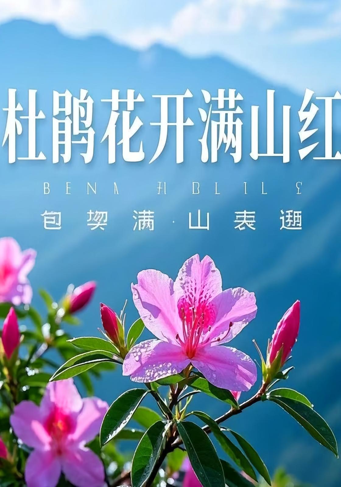 杜鹃花开满山红