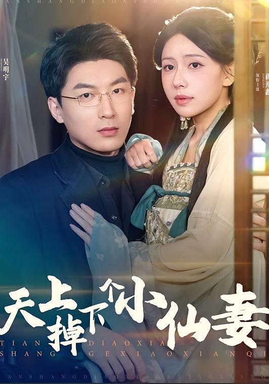 天上掉下个小仙妻