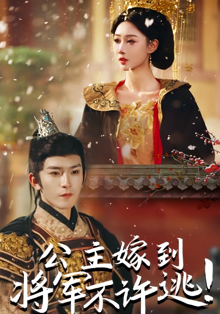 公主嫁到，将军不许逃！