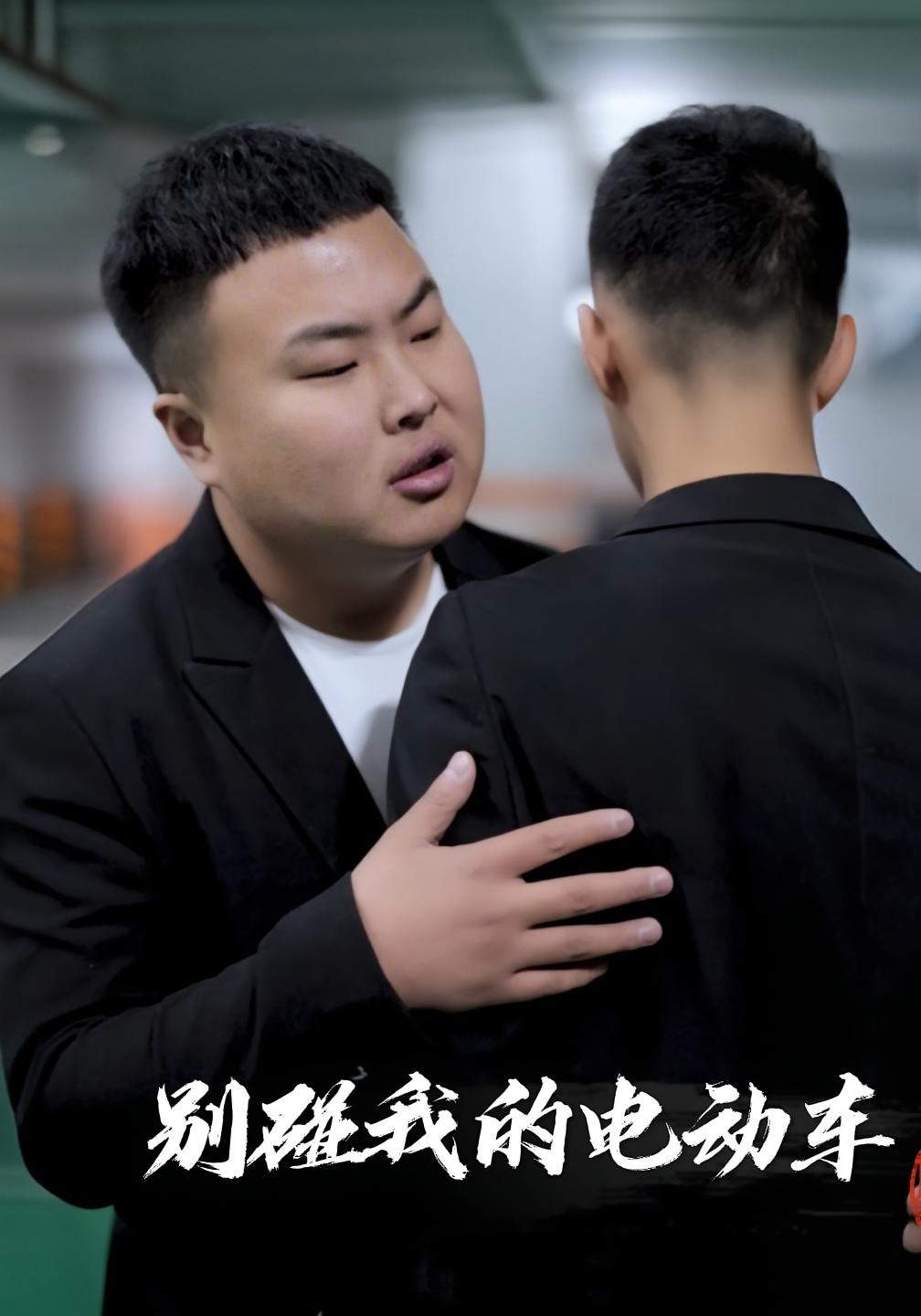 别碰我的电动车