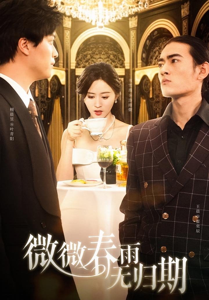 微微春雨无归期