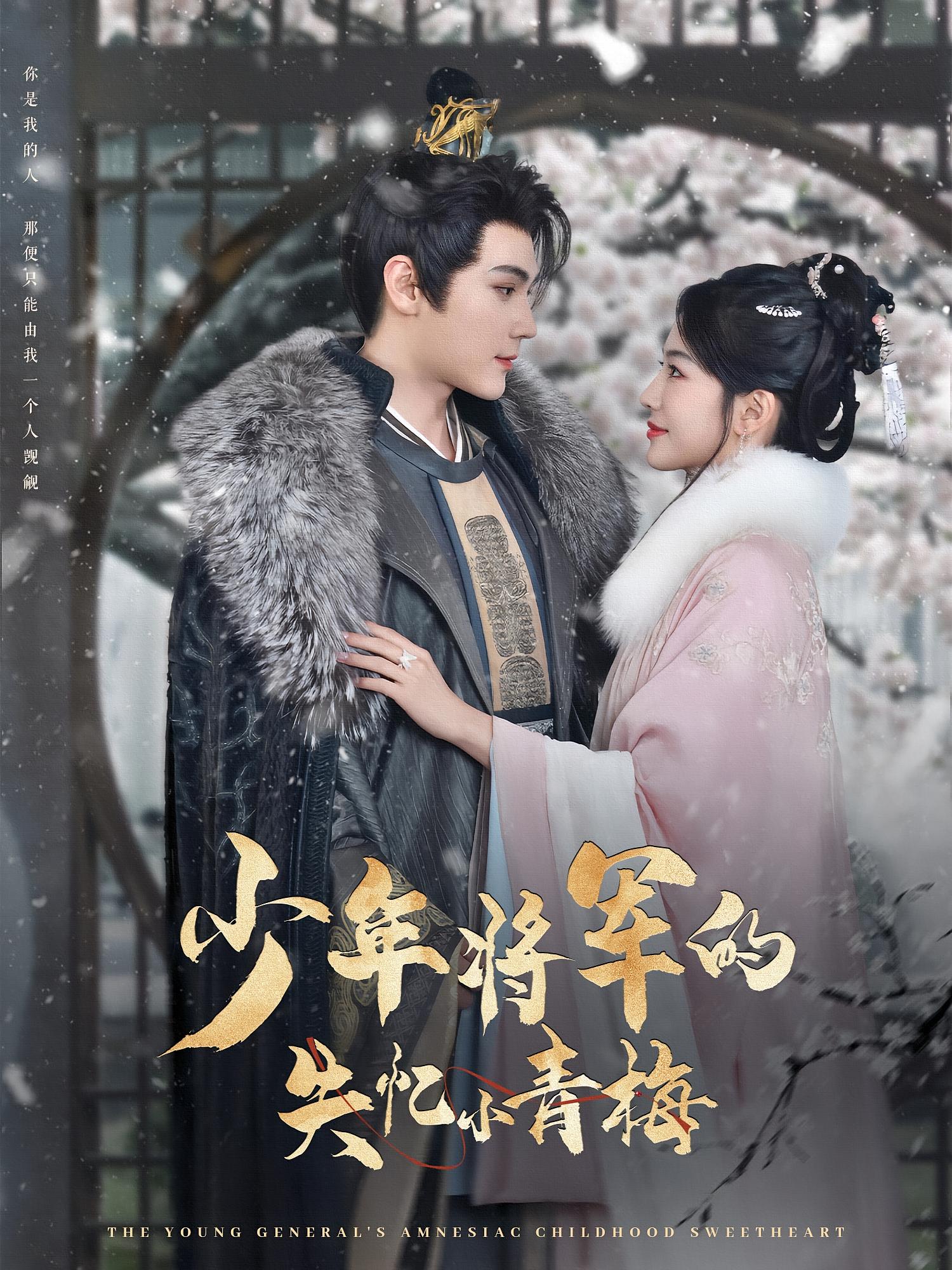 少年将军的失忆小青梅