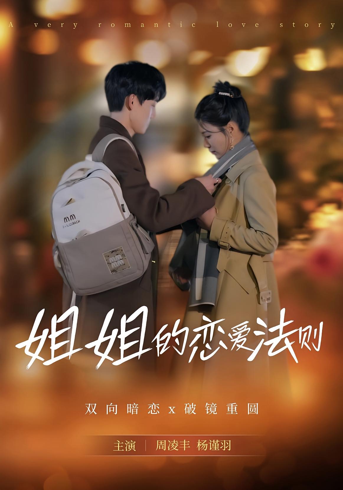 姐姐的恋爱法则