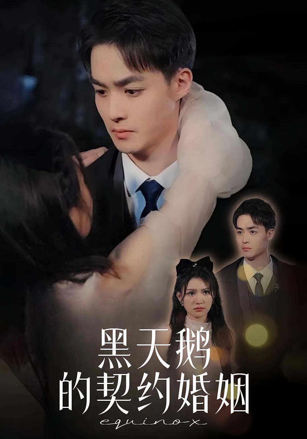 黑天鹅的契约婚姻