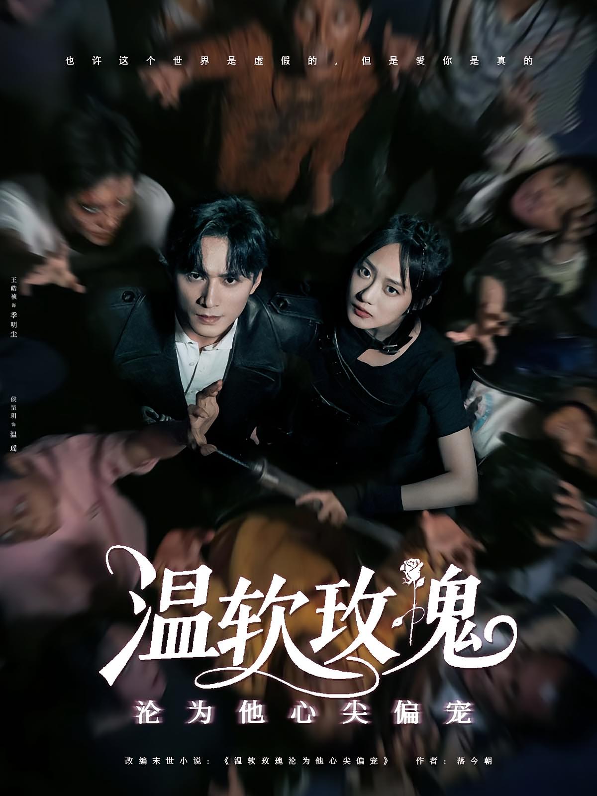 温软玫瑰沦为他心尖偏宠