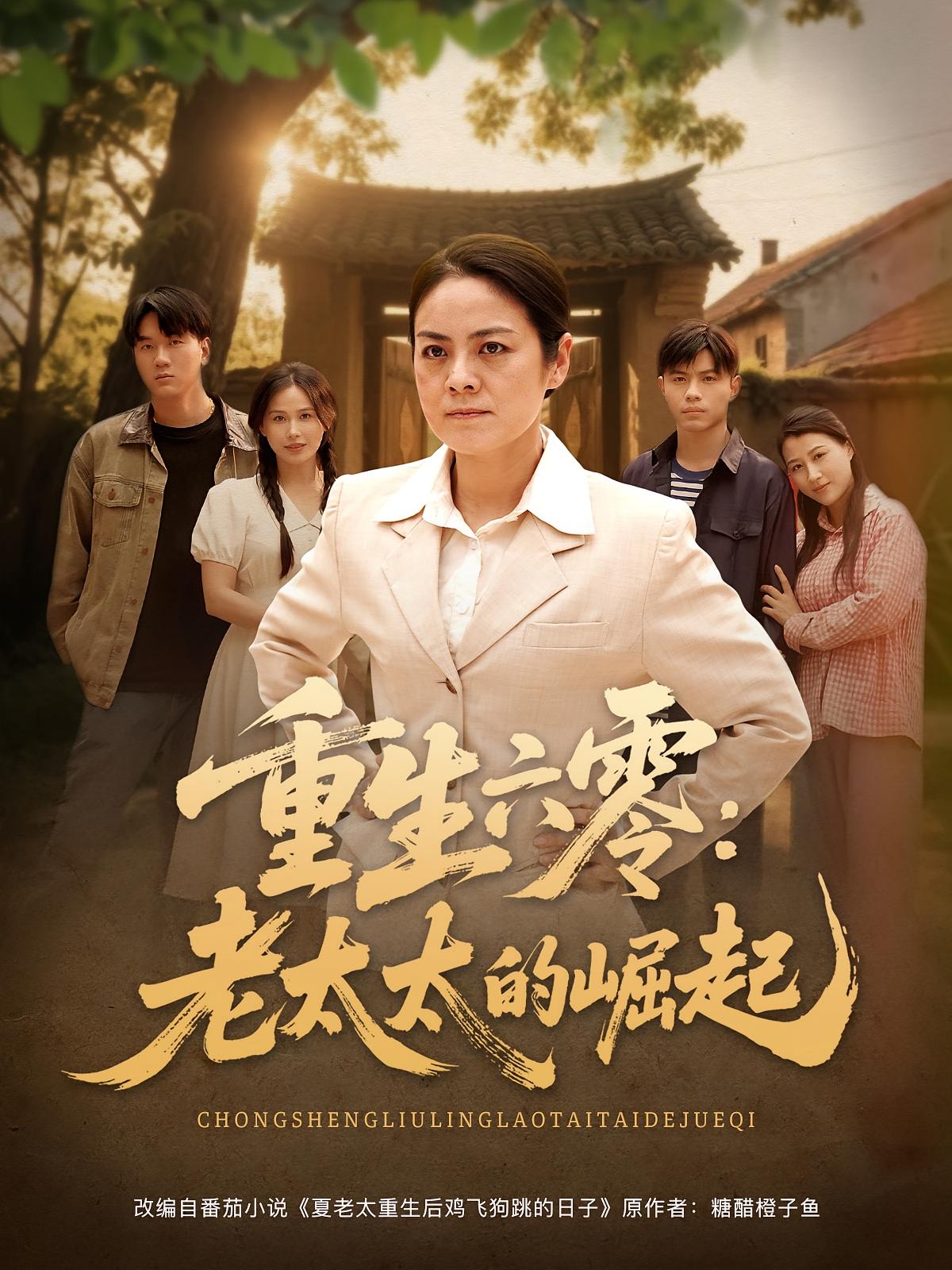 重生六零：老太太的崛起