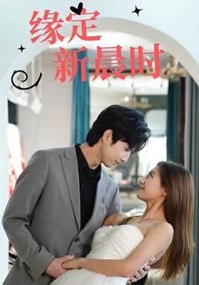 缘定新晨时