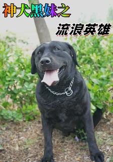 神犬黑妹之流浪英雄