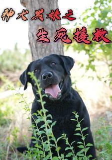 神犬黑妹之生死援救