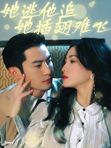 她逃他追她插翅难飞