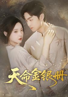 天命金银册