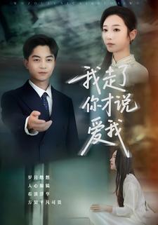 我走了你才说爱我