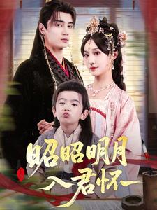 昭昭明月入君怀