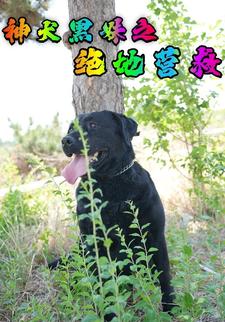神犬黑妹之绝地营救