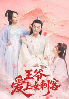 王爷爱上女刺客