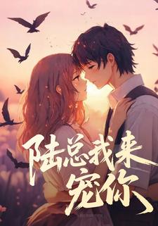陆总我来宠你