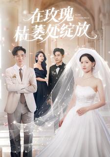 在玫瑰枯萎处绽放