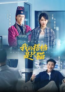 我的搭档是只猫