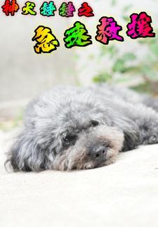 神犬锤锤之急速救援