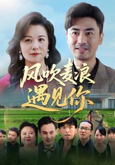 风吹麦浪遇见你