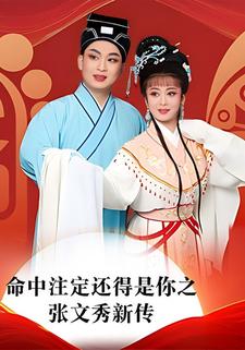 命中注定还得是你之张文秀新传