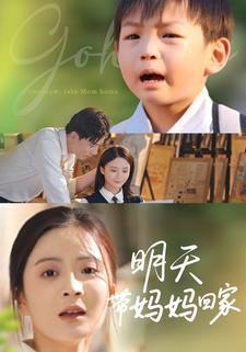 闪闪的泪光，鲁冰花