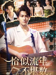 恰似流年不堪数