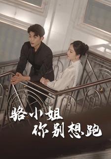 骆小姐你别想跑