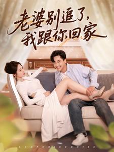 老婆别追了，我跟你回家