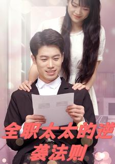 全职太太的逆袭法则