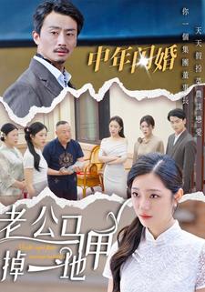 中年闪婚，老公马甲掉一地