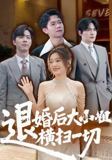 退婚后大小姐横扫一切